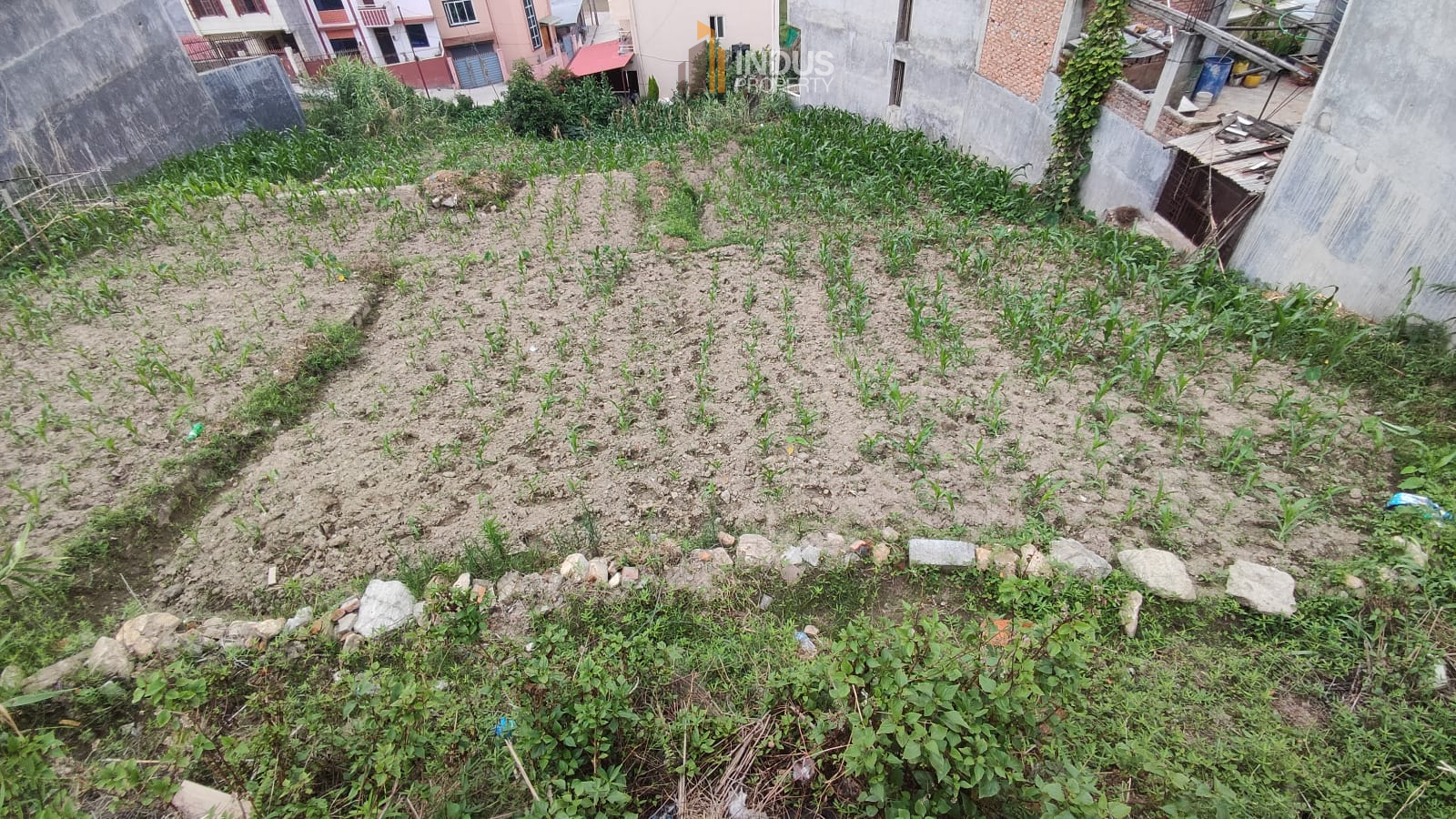 Picture of Mahalaxmi Municipality, Bagmati